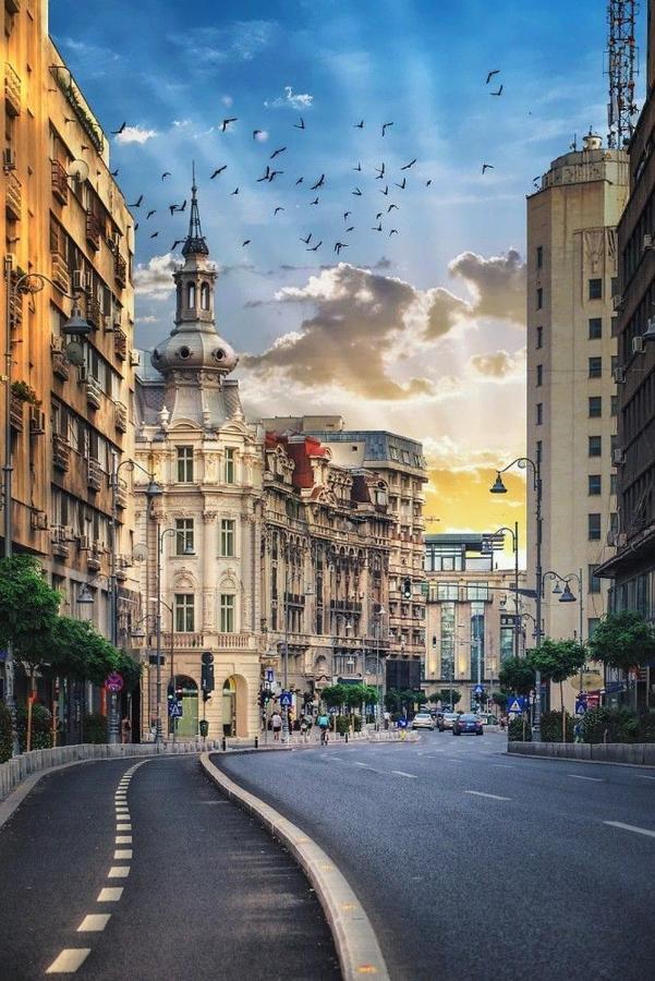 Imob Bibi House Universitate Bucharest Exterior photo
